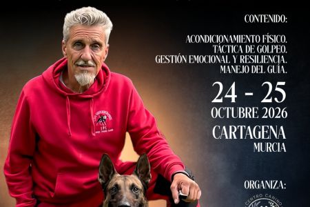 Cursos, actividades... julio-2026  