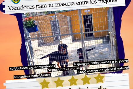 Cursos, actividades... mayo-2026  