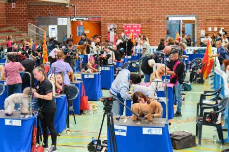 El Europeo de Peluquería Canina vuelve con fuerza