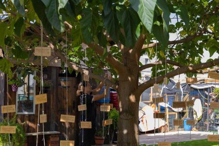 Cubo de Bureba, el árbol de los desaparecidos
