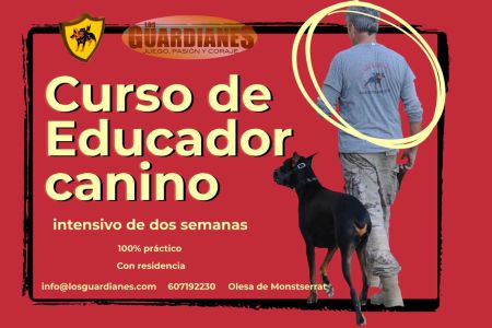 Cursos, actividades... agosto-2026  