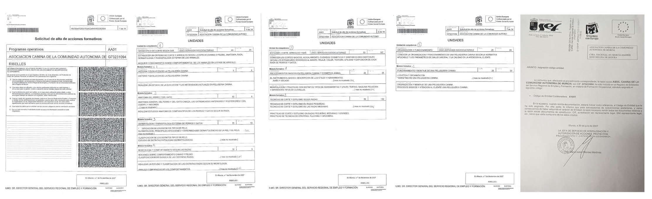 acciones formativas