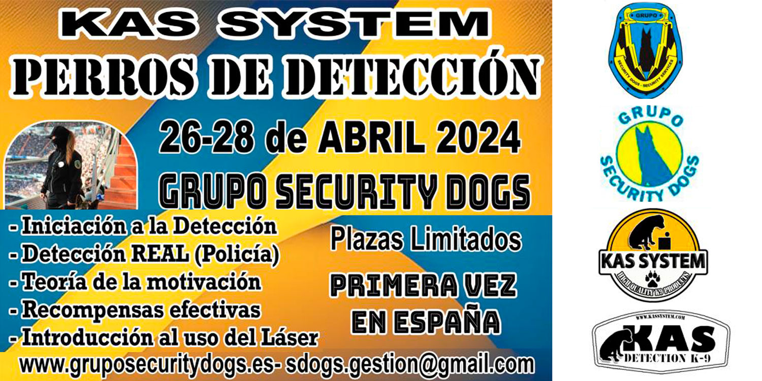 profesionales security