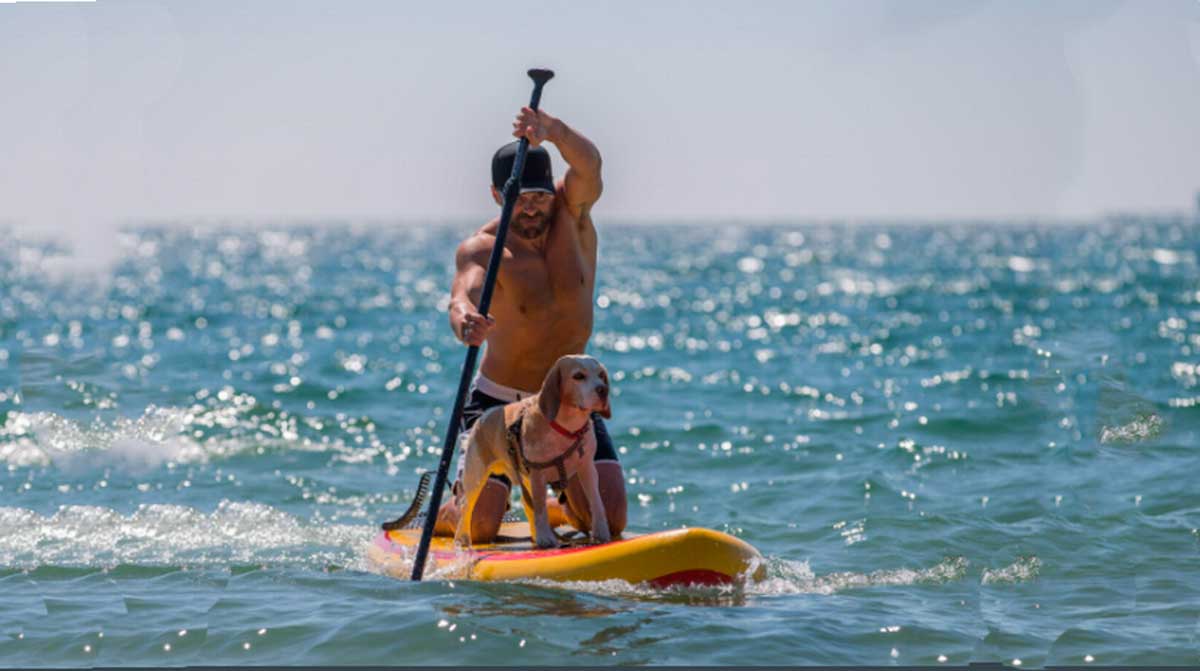 Paddle surf, una buena alternativa para entrenar en verano