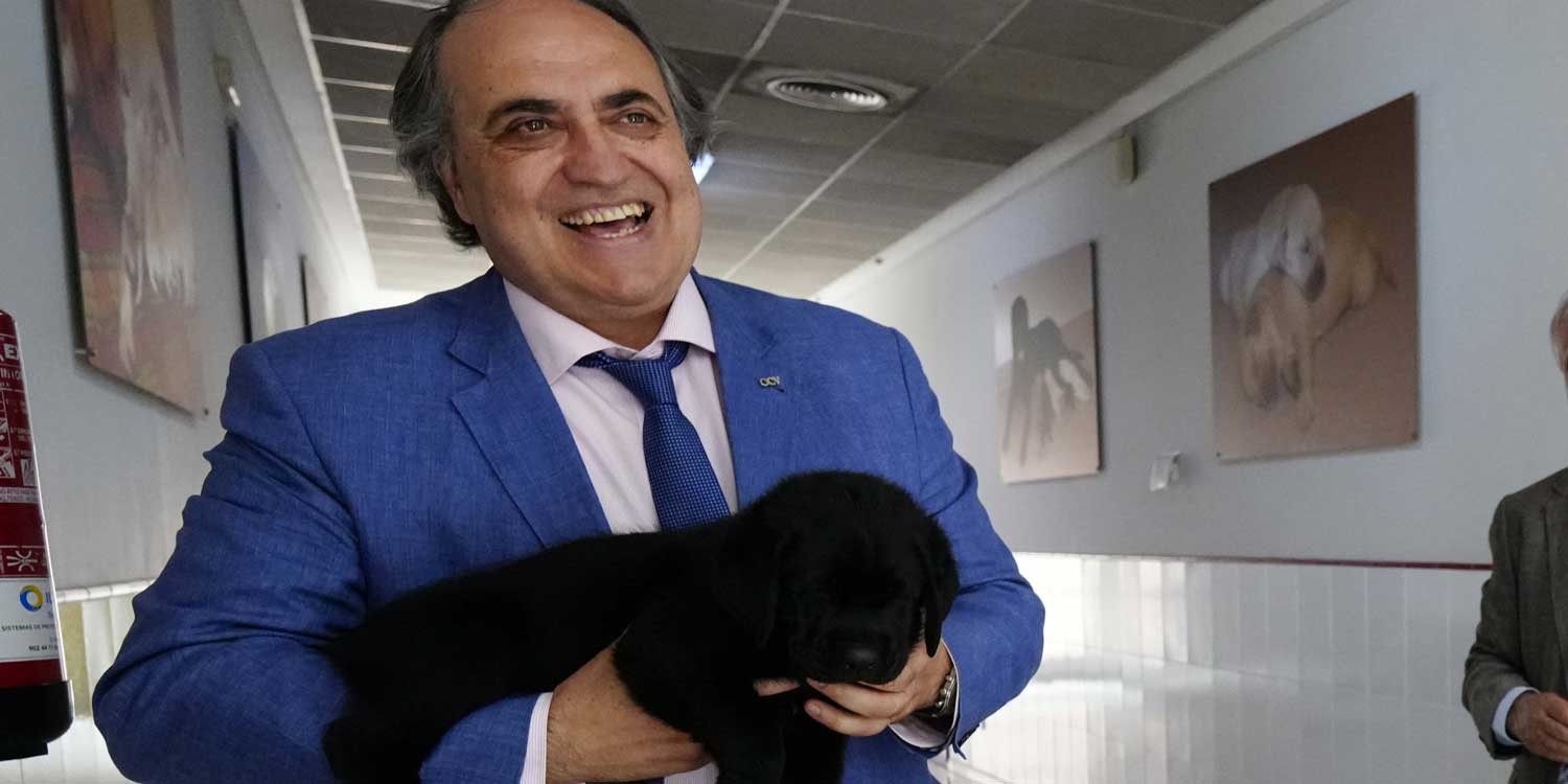 Luis Alberto Calvo, presidente de los veterinarios: “Identificar a los  perros es el camino contra el abandono”