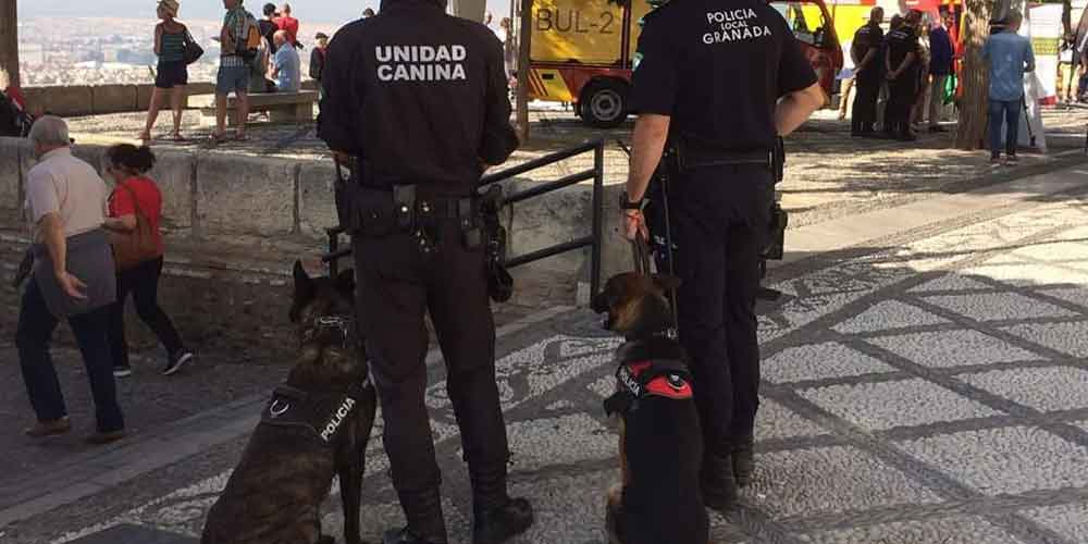 Seguridad en Baleares  La falta de vigilantes en Balears dejará al  descubierto centenares de servicios
